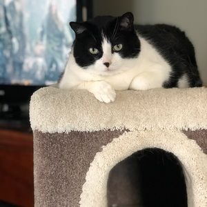 Meet your Posher, Chelsea